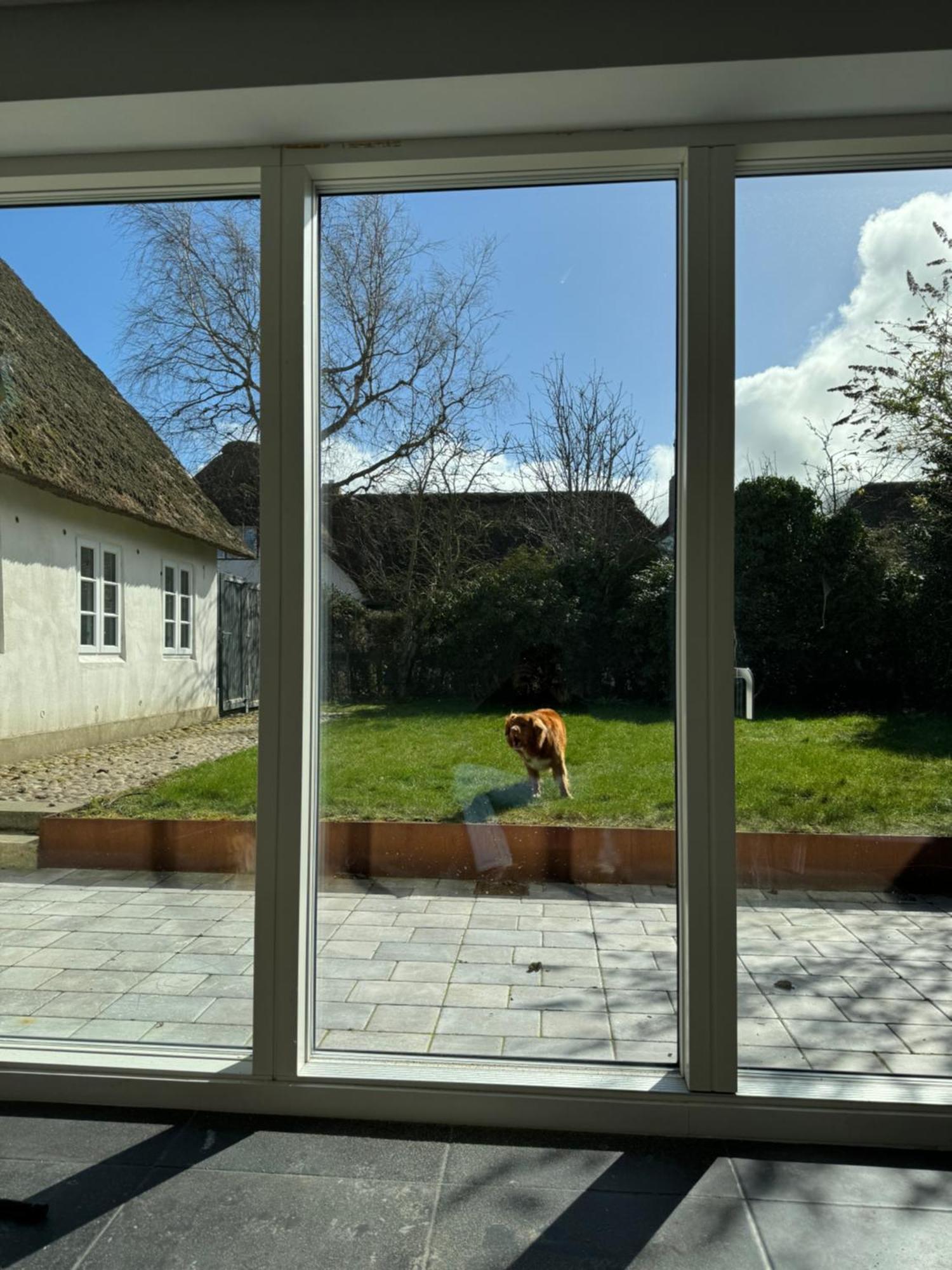 Appartement Kapitaenshaus Von 1712 - Neu Saniert à Nieblum Extérieur photo