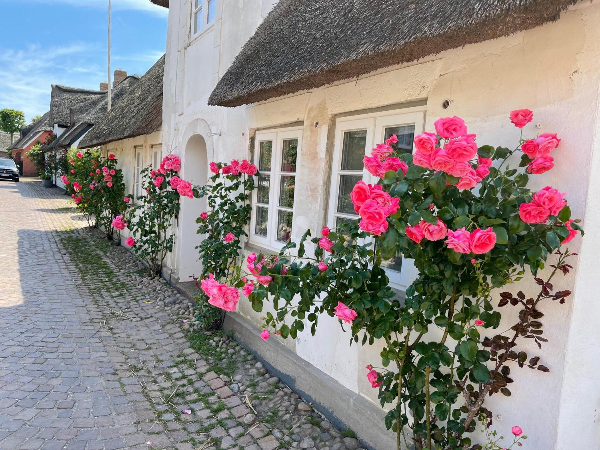 Appartement Kapitaenshaus Von 1712 - Neu Saniert à Nieblum Extérieur photo